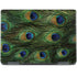 Peacock Notebook 9 Pro 13in (2017) Skin